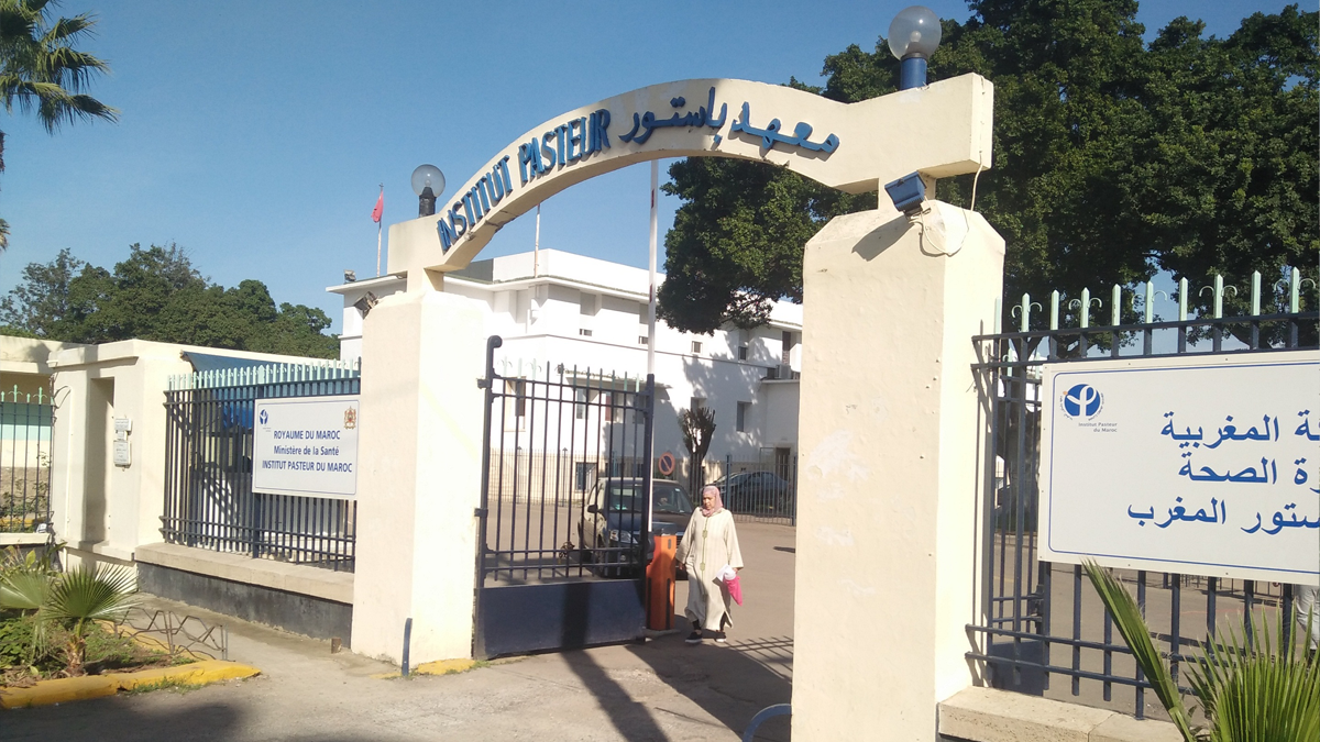 Coronavirus : un nouveau bilan fait état de 27 989 morts dans le monde, le détail dans chacun des pays les plus touchés