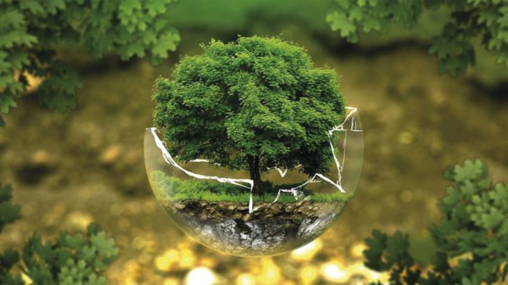 Économie verte: lancement de l’appel à projets “Ecostart”.