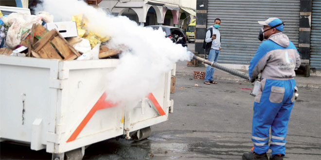 Casablanca, opérations de dératisation et démoustication.