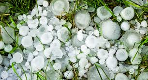 Tempête de grêle dans la région Fès-Meknès : Plus de 9.000 ha affectés.