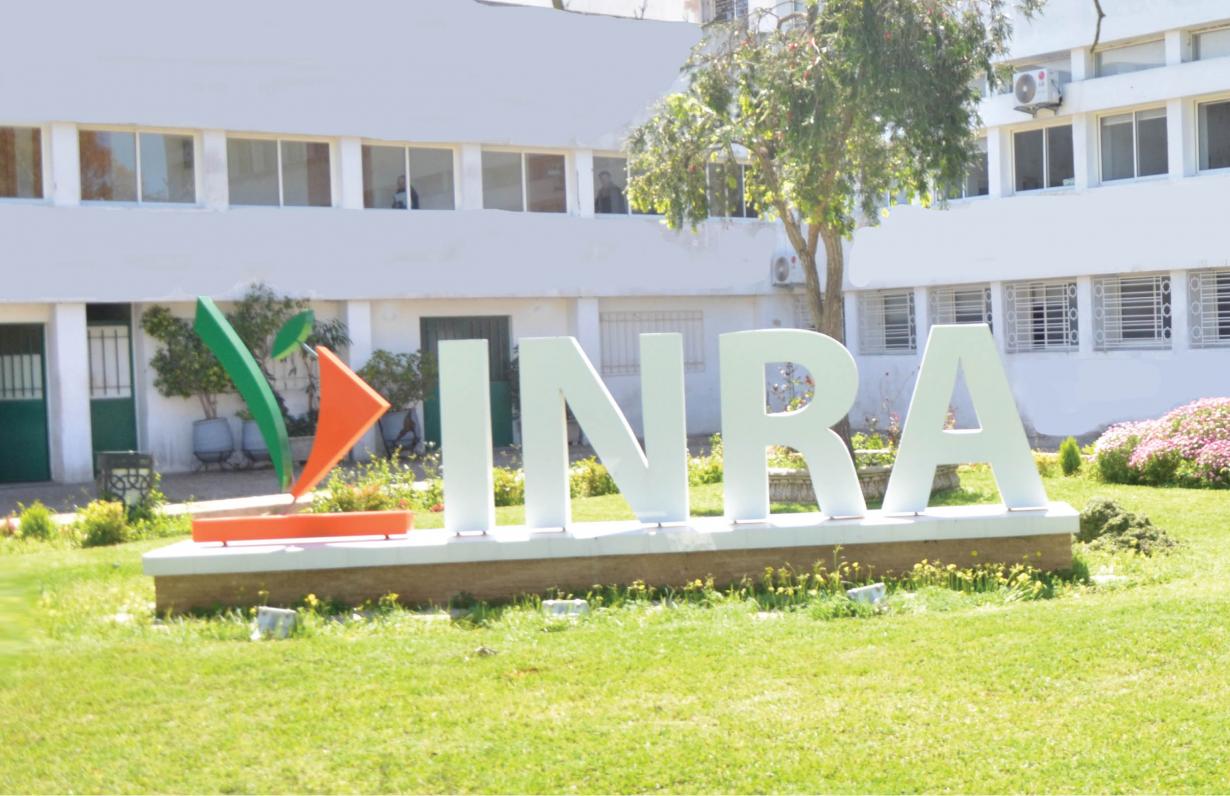 L’INRA noue un partenariat mettant les nouvelles technologies au service de l’agriculture