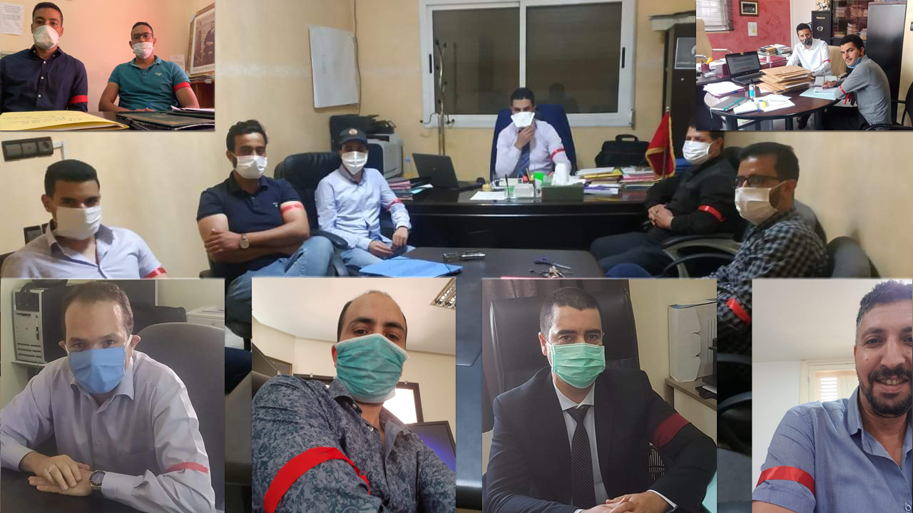 Département des Eaux et Forêts: La colère des ingénieurs forestiers