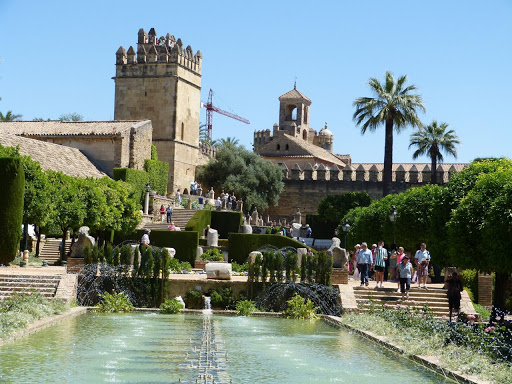 Réunion à distance des présidents des CRT avec le DG de l’ONMT