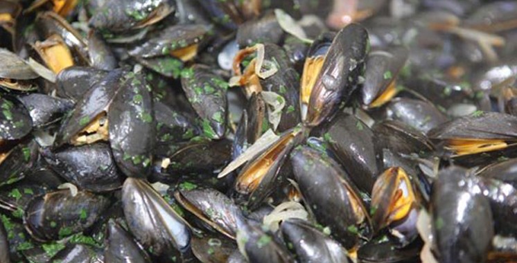 Ras kebdana-Saidia à Nador: Interdiction de la commercialisation des coquillages