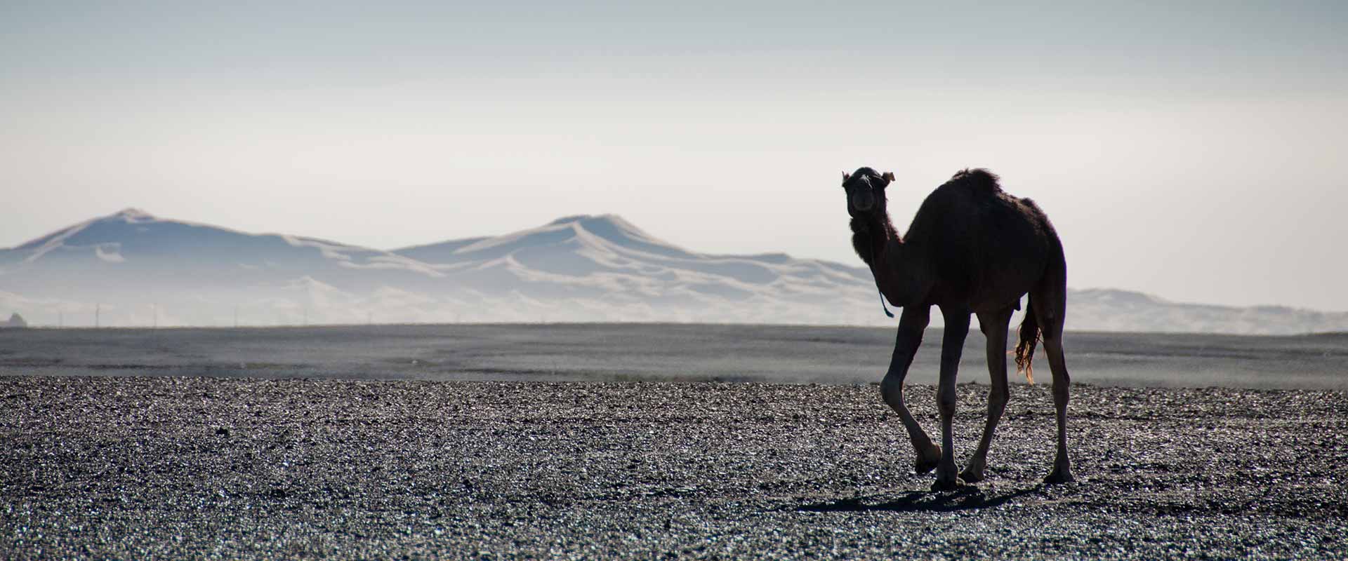 Maroc, El Othmani vote pour le tourisme intérieur