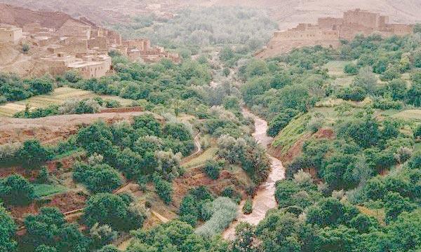 La bataille de Boufekrane, une page rayonnante dans la lutte nationale pour l’indépendance
