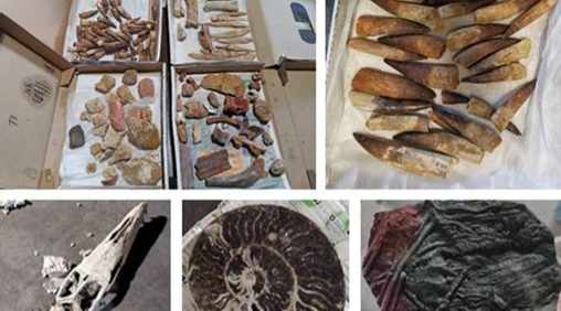 Casablanca-Settat: mise en échec d’une tentative d’exportation illicite de pièces géologiques