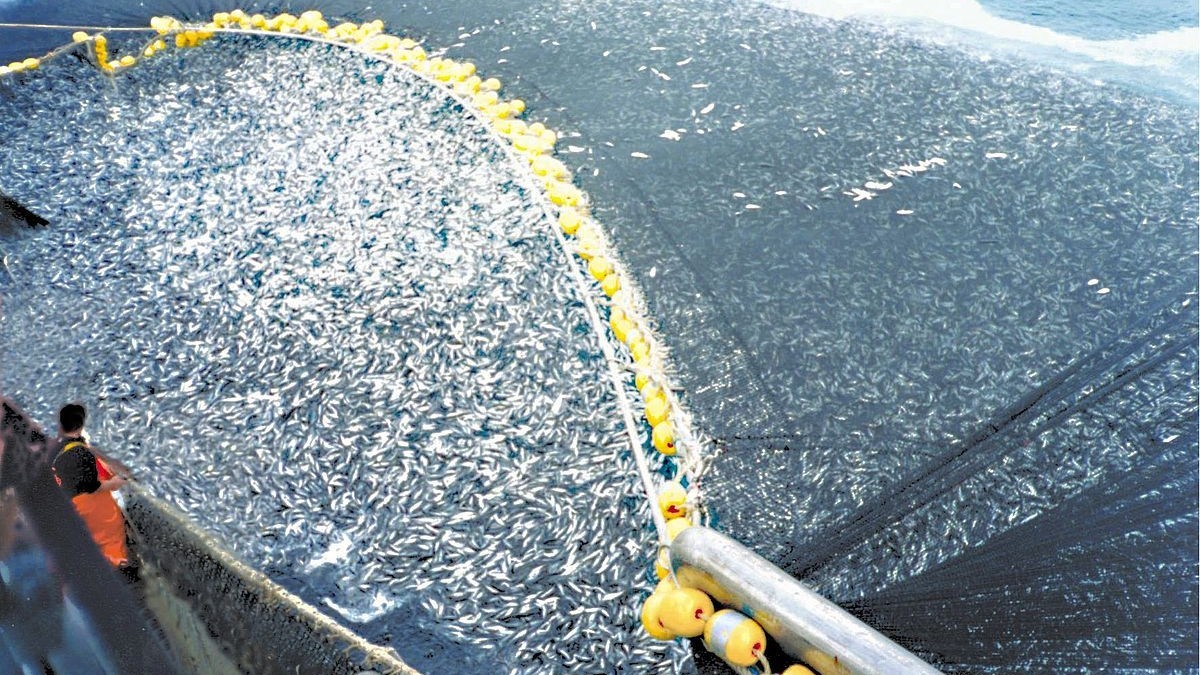 Sahara marocain. Les investisseurs basques séduits…