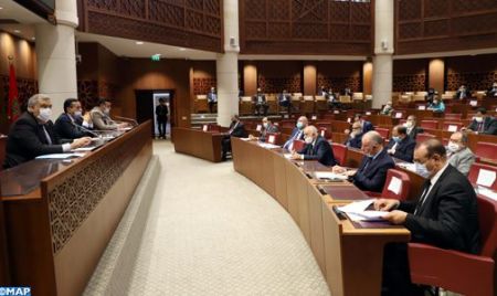 Cannabis. Les principaux points du projet de loi 13.21