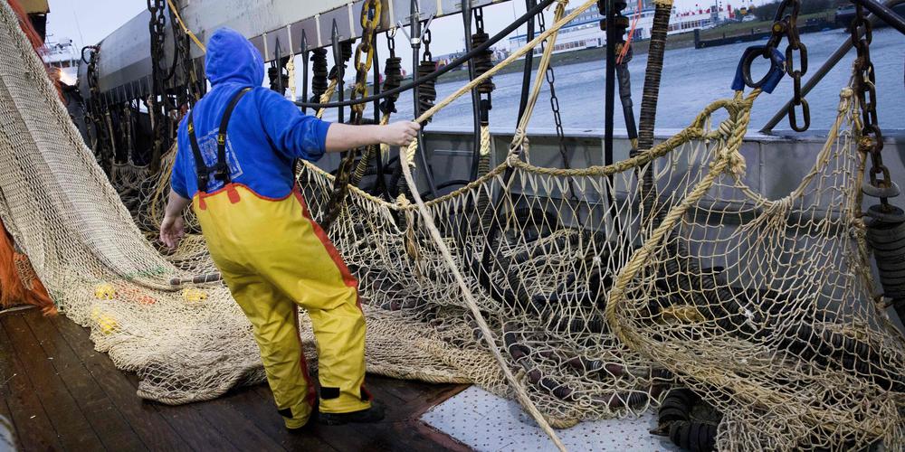 La Cour de justice de l'Union européenne (CJUE) a rejeté, jeudi, un recours des Pays-Bas contestant l'interdiction dans toute l'UE à partir de l'été 2021 de la pêche électrique.