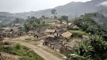 Un journaliste congolais assassiné dans le Nord-Kivu