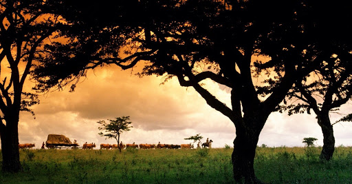 Afrique. L&rsquo;industrie touristique s&rsquo;efforce de sortir de l&rsquo;impasse épidémique