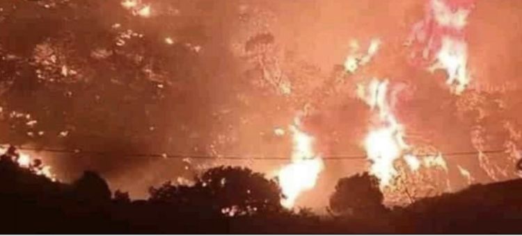 Algerie- un bilan de 42 victimes des incendies de forêt