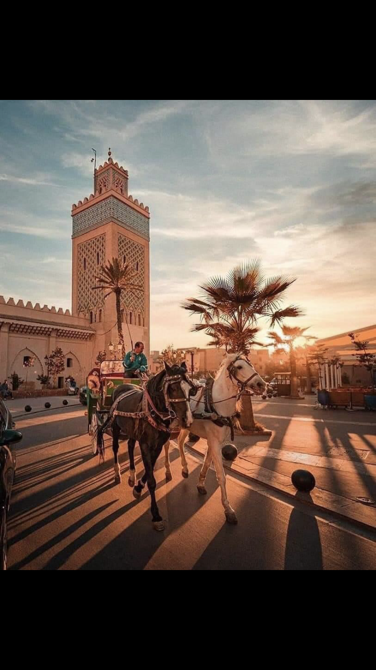 Journée mondiale du tourisme .. quand le secteur joue un rôle collectif pour parvenir à une croissance inclusive