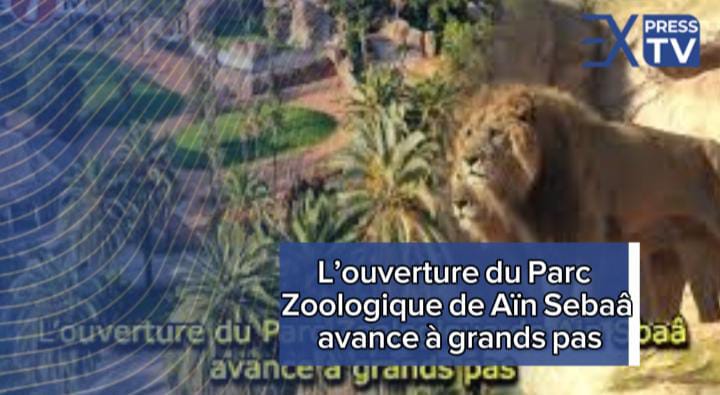 L’ouverture du Parc Zoologique de Aïn Sebaâ avance à grands pas