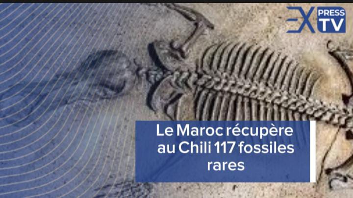 Le 68ème anniversaire des FAR  Moulay El Hassan préside un déjeuner offert par SM le Roi