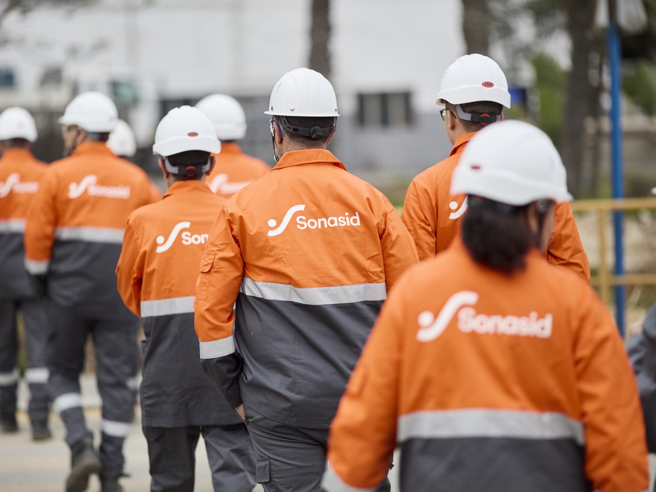 Sonasid identité visuelle