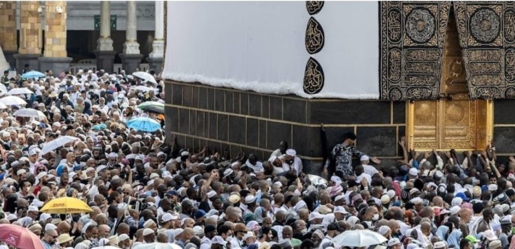 Tragédie au Hadj : Plus de 1 000 pèlerins perdent la vie à La Mecque dans des conditions extrêmes