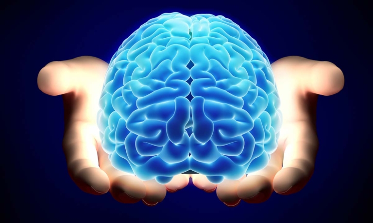 67e2818d708d3 768x461 1