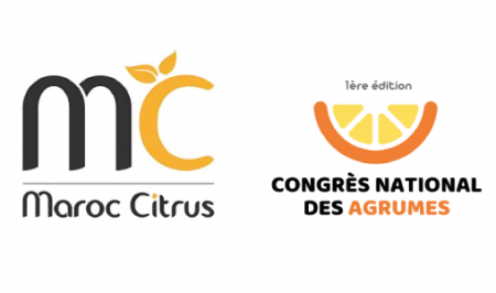 Maroc Citrus