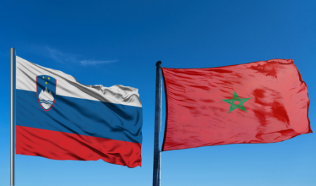 Slove CC 81nie Maroc