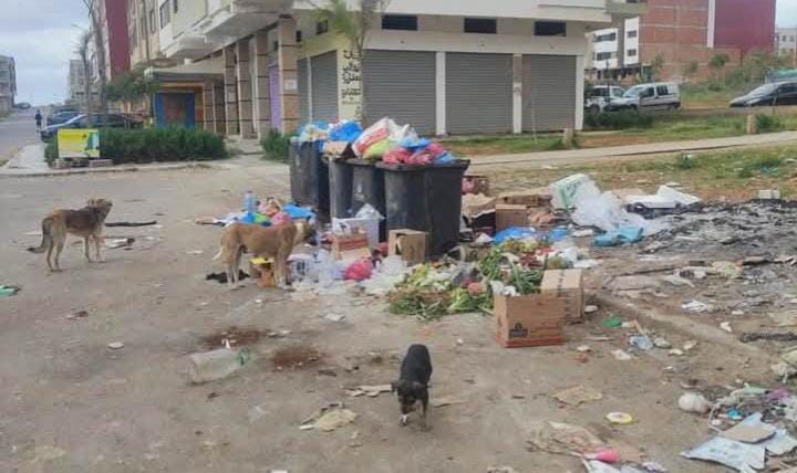 WhatsApp Image 2025 04 22 at 21.01.48