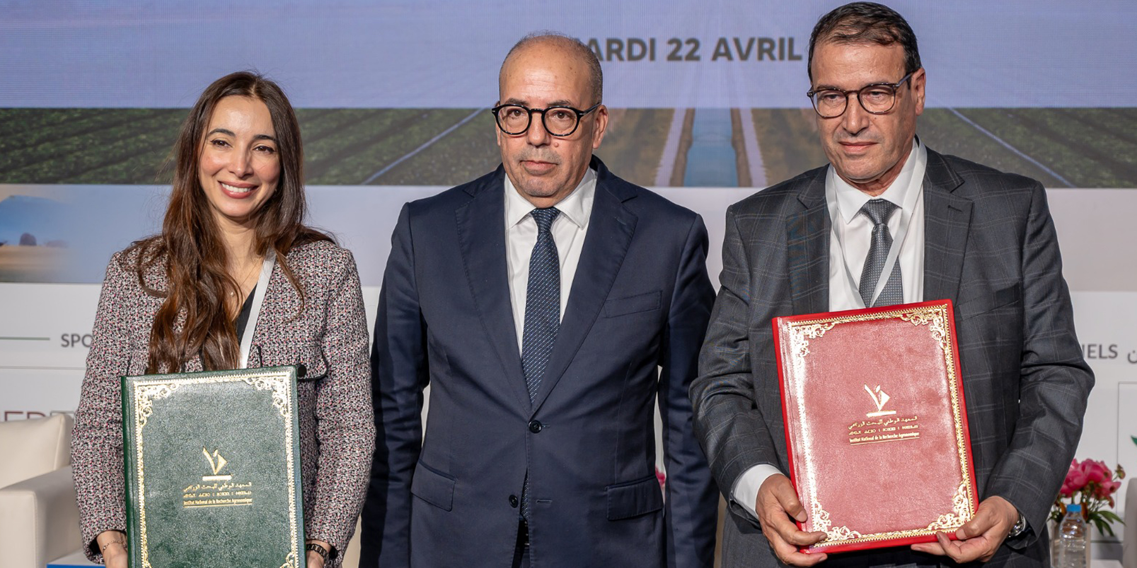 oléagineuse résiliente 2