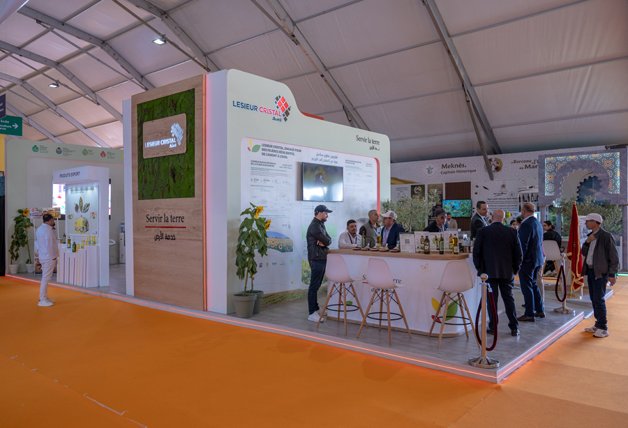 الزراعة الزيتية