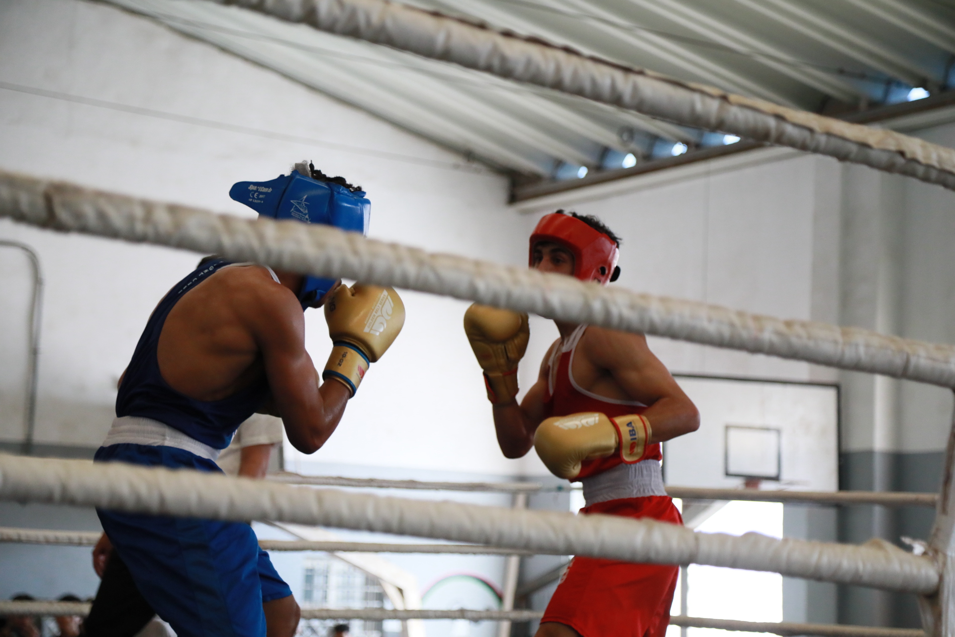 Les amateurs de boxe auront un rendez-vous avec les seizièmes et les quarts de finale du Championnat du Maroc à Marrakech.