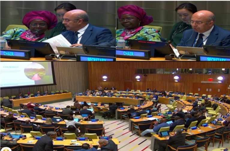 Le Maroc préside le Forum des Nations Unies sur les forêts et présente sa stratégie pour faire face aux changements climatiques.