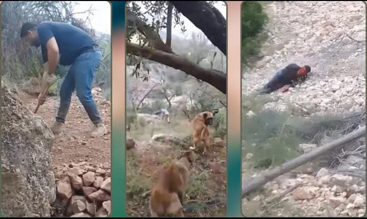 Sécurité à Sefrou : Trois individus tuent un agriculteur devant sa femme, qui filme la scène