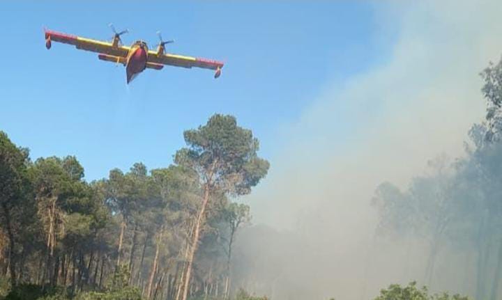 Tanger : Arrestation d&rsquo;un suspect suite à l&rsquo;incendie de la forêt d&rsquo;Houara, en possession de briquets et d&rsquo;un chisha.