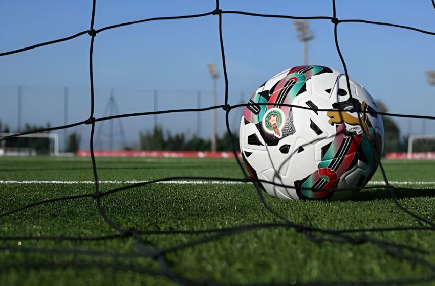 البطولة الاحترافية