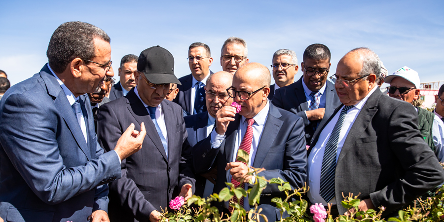 معرض الورد بقلعة مكونة 2025 1