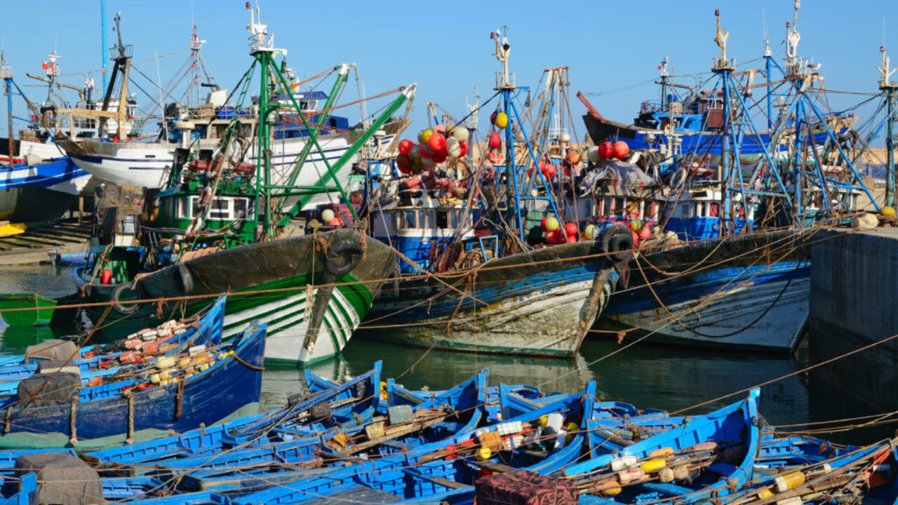 Augmentation des décharges de la pêche maritime sur les côtes méditerranéennes de 7 %