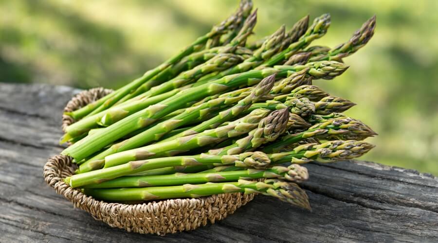 L&rsquo;asperge marocaine continue d&rsquo;établir des records et pénètre de nouveaux marchés à l&rsquo;international.