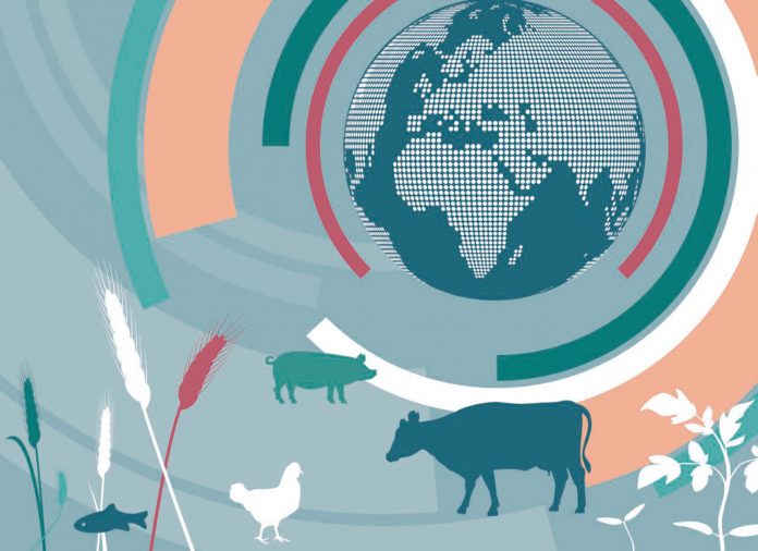 Organisation de coopération et de développement économiques et Organisation des Nations Unies pour l&rsquo;alimentation et l&rsquo;agriculture : Les économies émergentes en tête de la croissance de la production alimentaire d&rsquo;origine animale