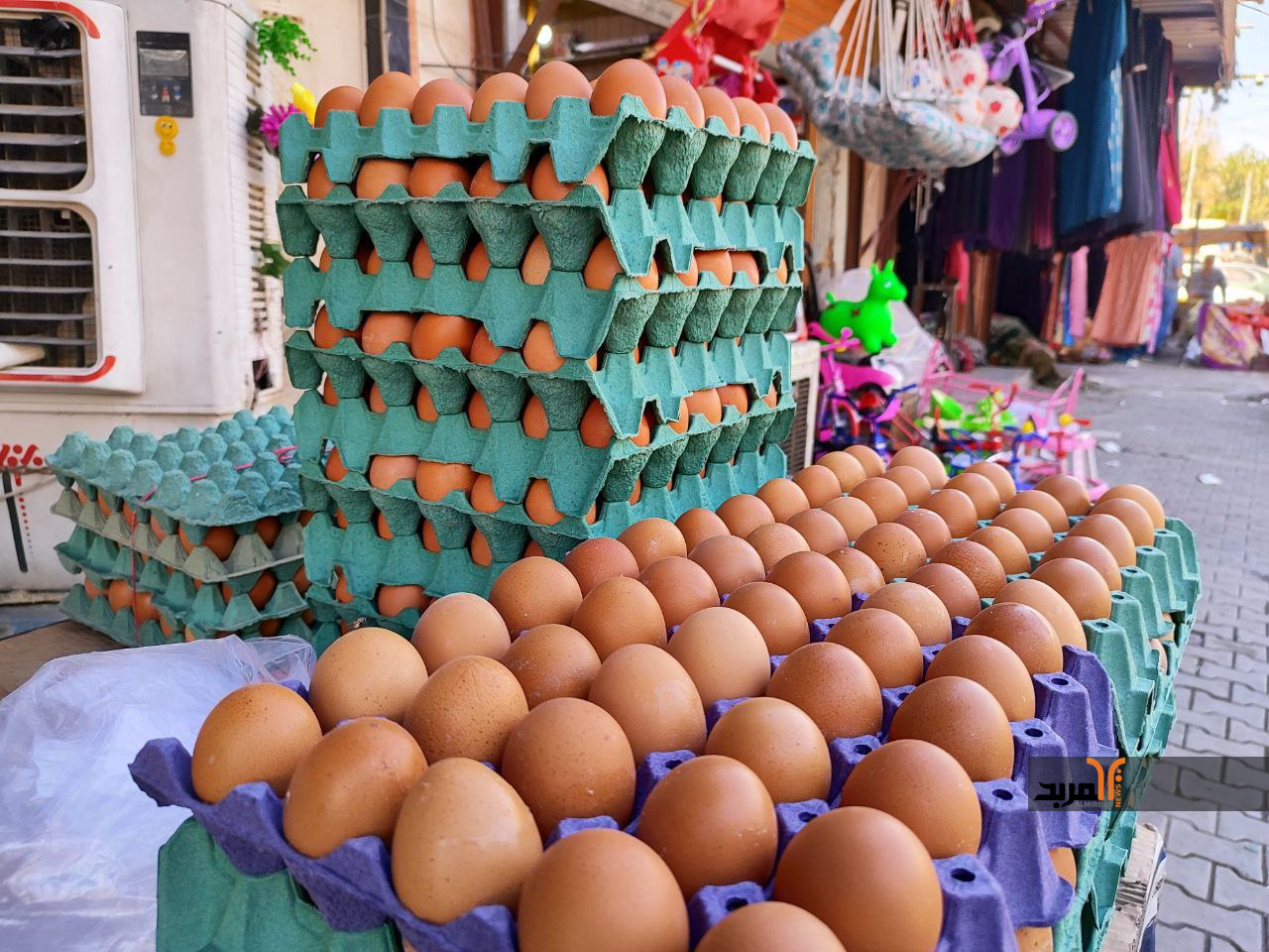 Observatoire des consommateurs : Le désordre sur le marché des œufs menace la santé des Marocains