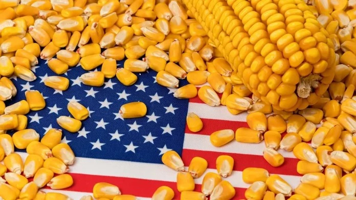 L&rsquo;Asie du Sud-Est redessine la carte du commerce agricole mondial.