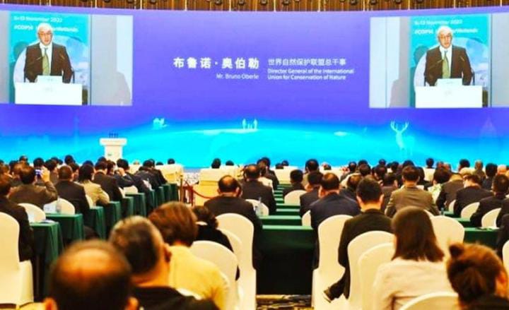 Le Maroc inflige un revers à l&rsquo;Algérie en étant élu membre du comité permanent de la Convention de Ramsar.