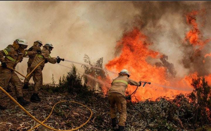 Le Maroc envoie deux avions pour soutenir les efforts d&rsquo;extinction des incendies de forêt au Portugal