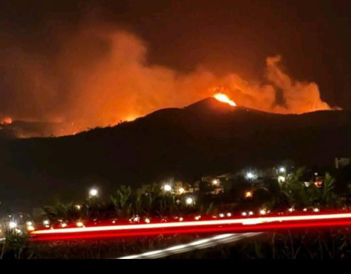 Un incendie de forêt ravage de vastes étendues aux alentours de Tétouan