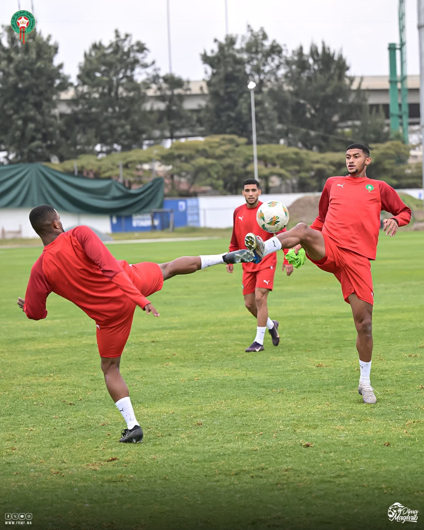 Les Lions du Championnat effectuent leur dernière séance d’entraînement avant le match contre l’Angola.