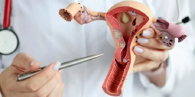 afkarjadida.com 20250815309381