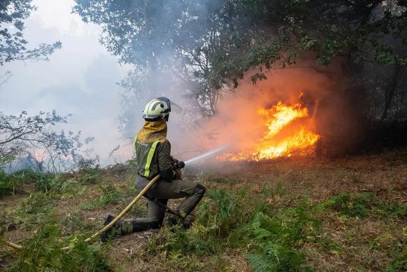 Incendies de forêt en Espagne : Troisième décès à Lyon en plein cœur d&rsquo;une vague de chaleur exceptionnelle