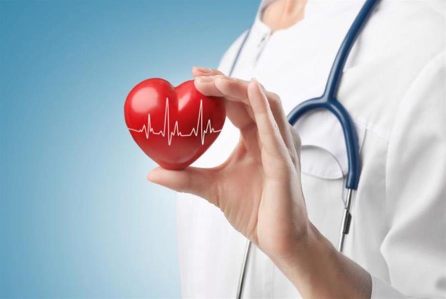 Une étude récente ouvre de nouvelles perspectives pour le traitement des malformations cardiaques congénitales.