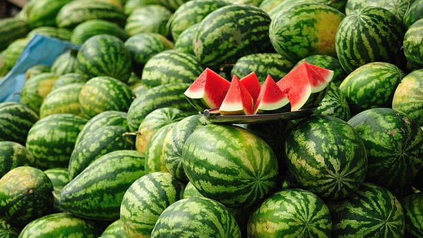 Le melon marocain connaît une croissance de plus de 53 % au cours du premier semestre 2025.