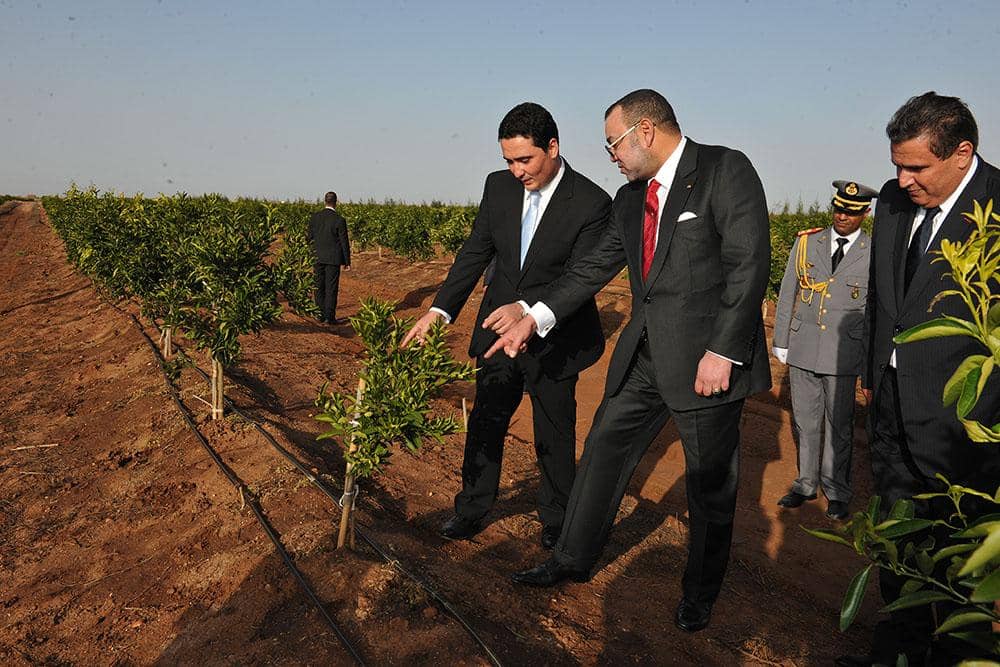 Institut Marocain d&rsquo;Analyse des Politiques : Évaluation des impacts économiques et environnementaux du Plan Maroc Vert