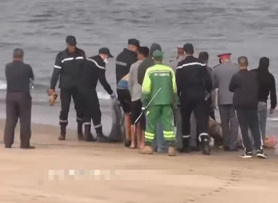 Une journée de promenade se transforme en tragédie : un couple se noie devant ses enfants à Mohammedia.