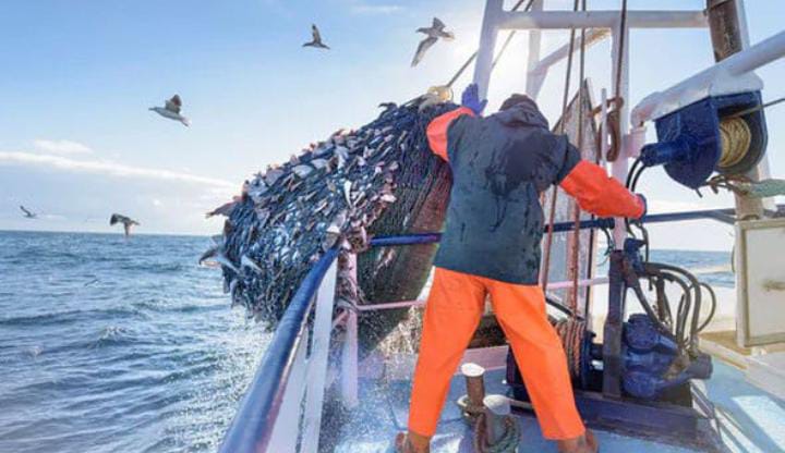 Le Maroc renforce son engagement environnemental en ratifiant la Convention sur les hausses maritimes.